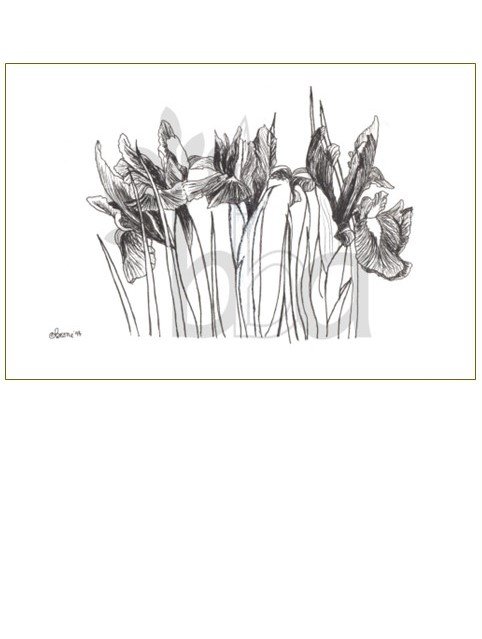 Irises