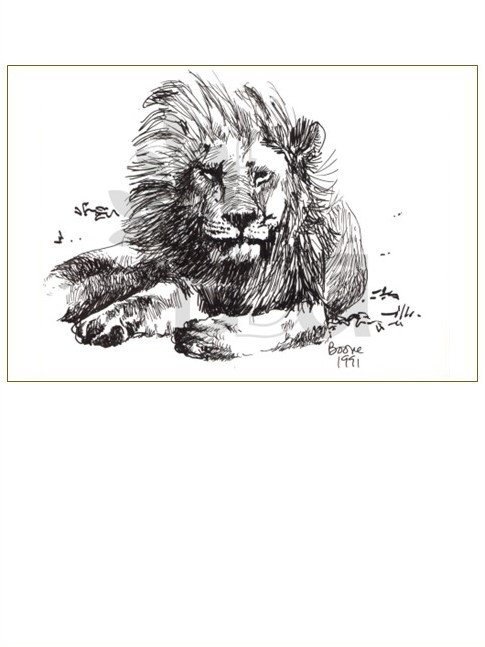Lion