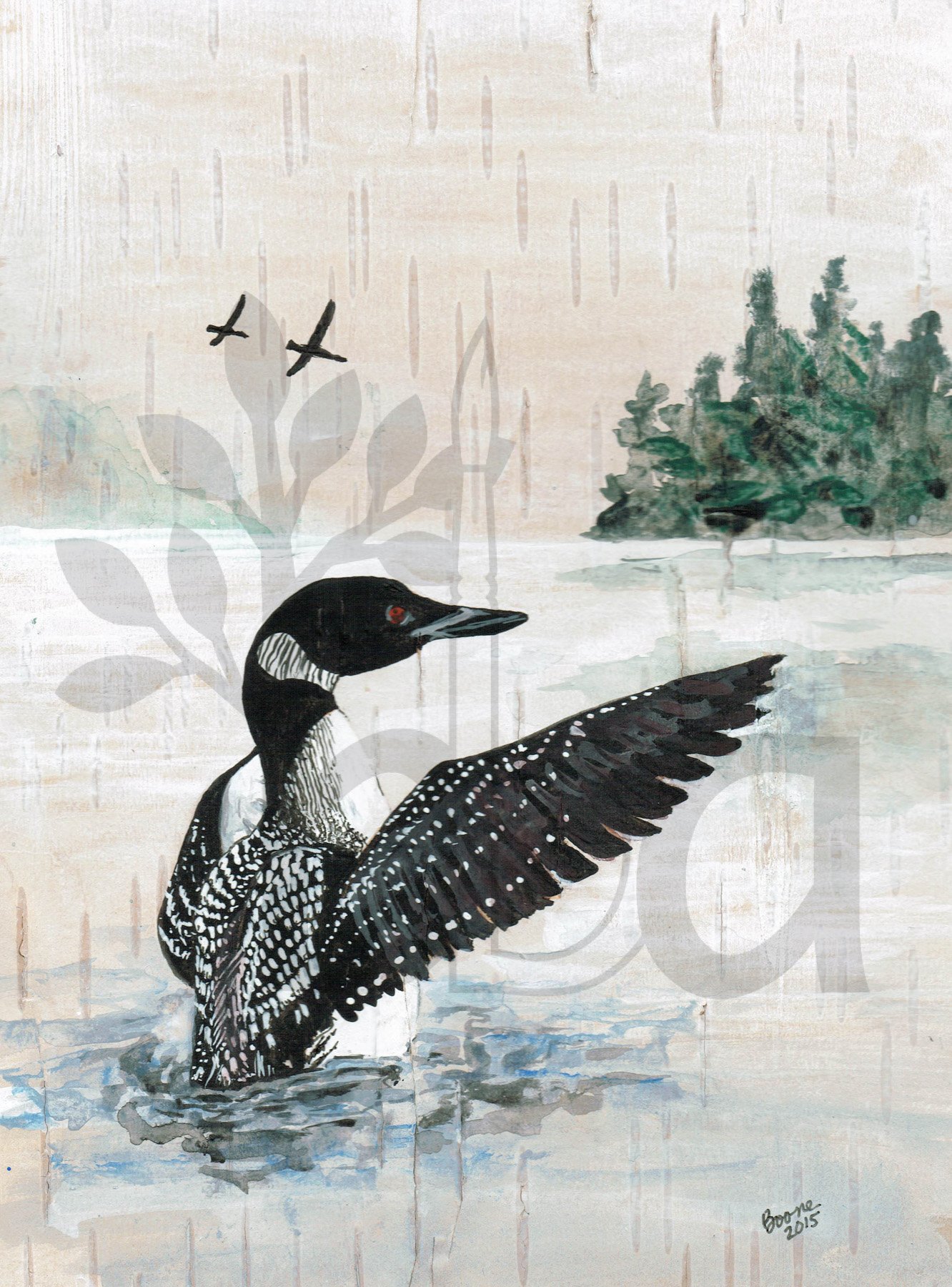 Loon on Birchbark