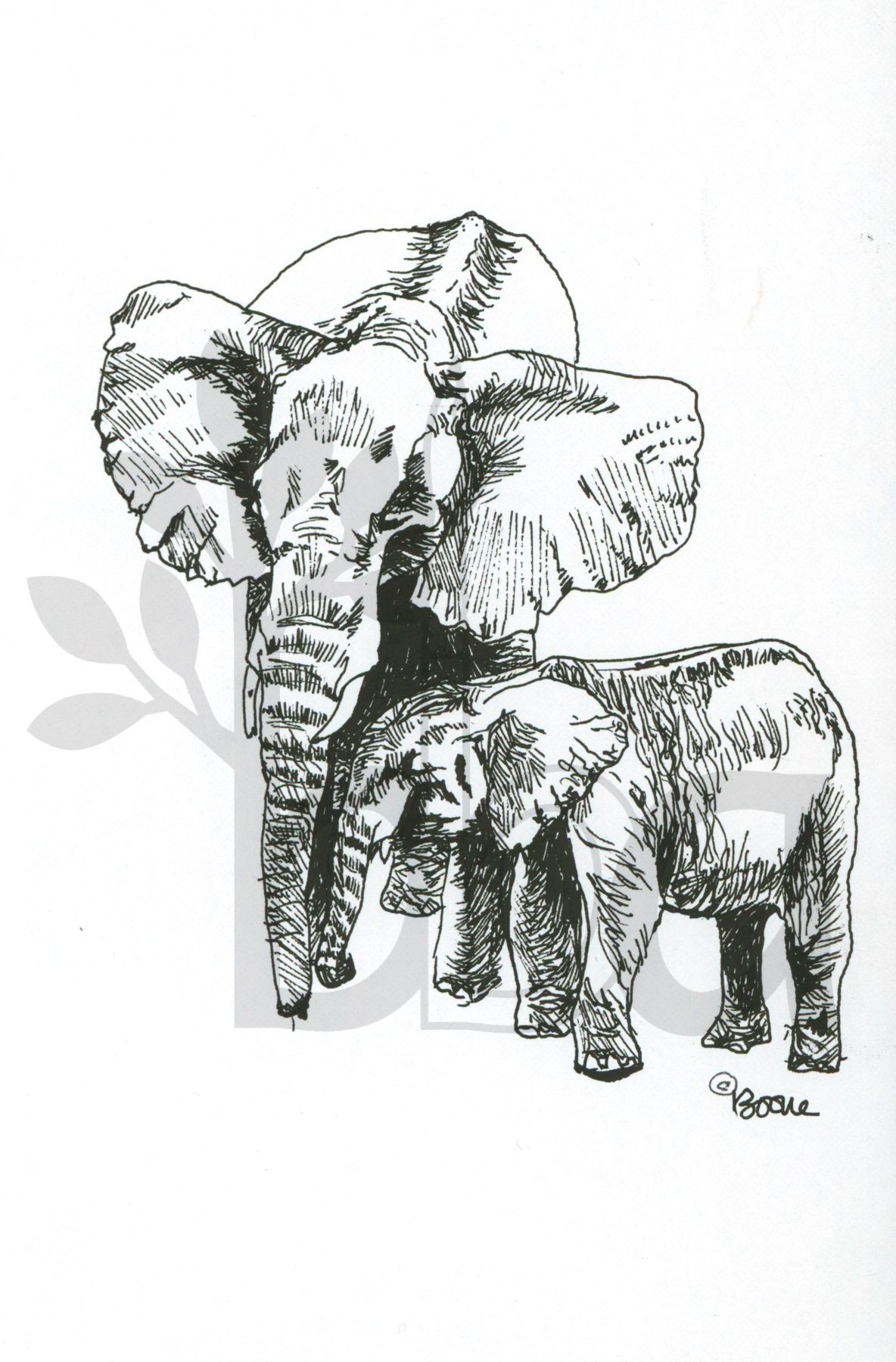 Mama and Baby Elephant