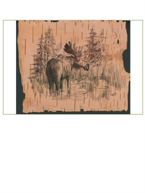 Moose, drawn on Birch Bark