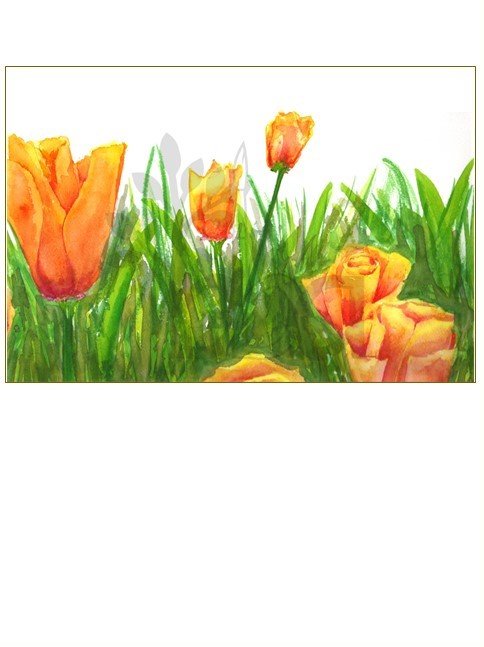 Orange Tulips
