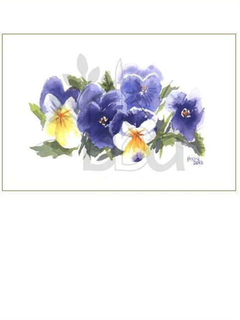 Pansies