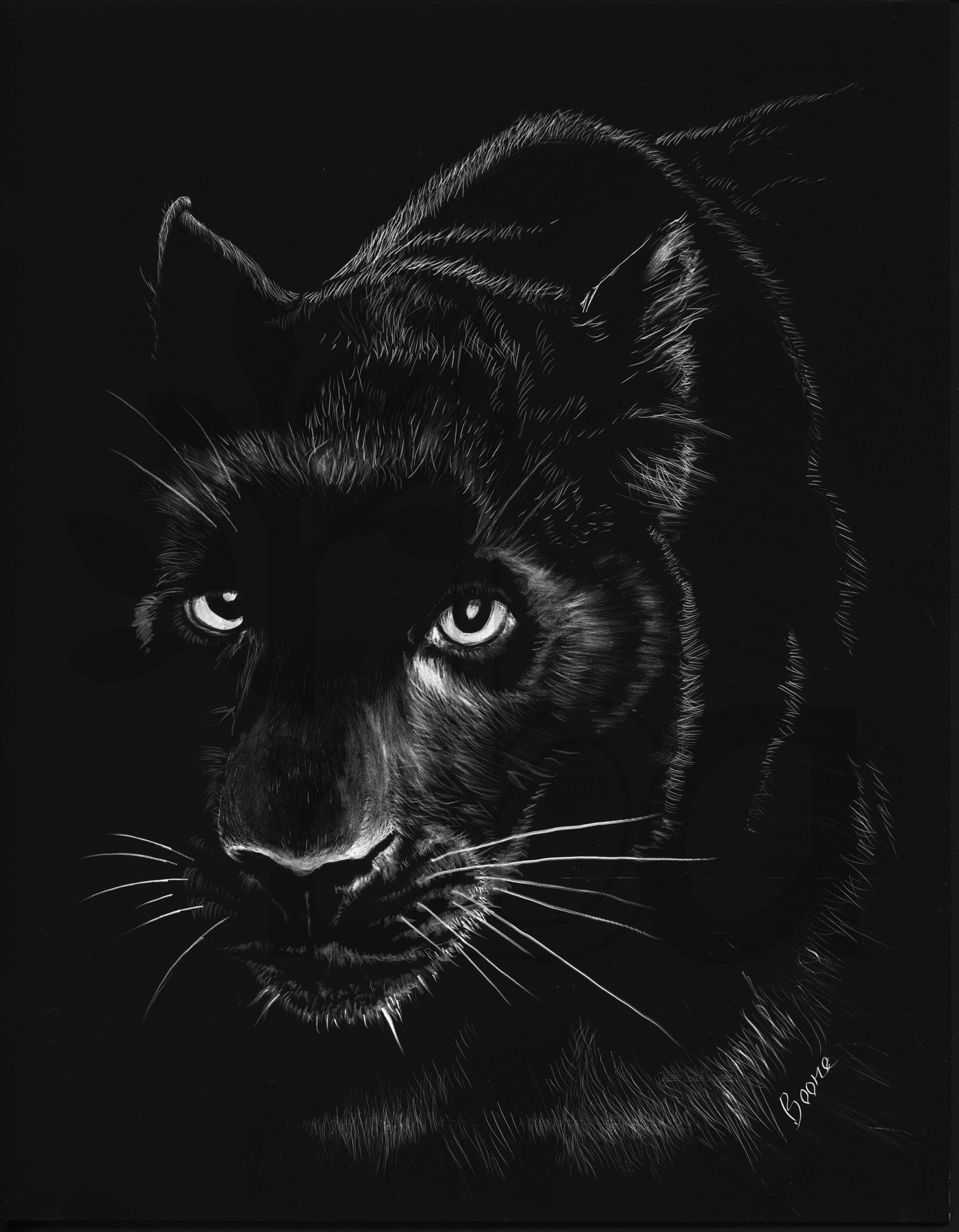 Panther