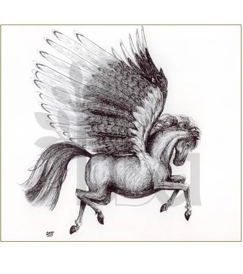 Pegasus