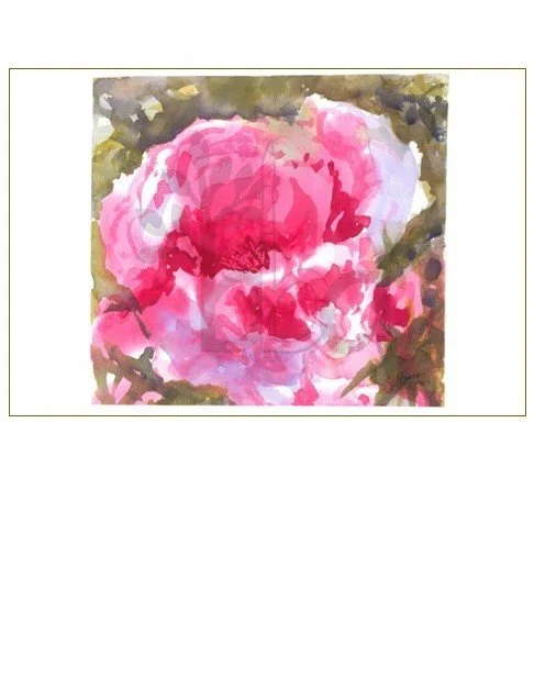 Pink Peony