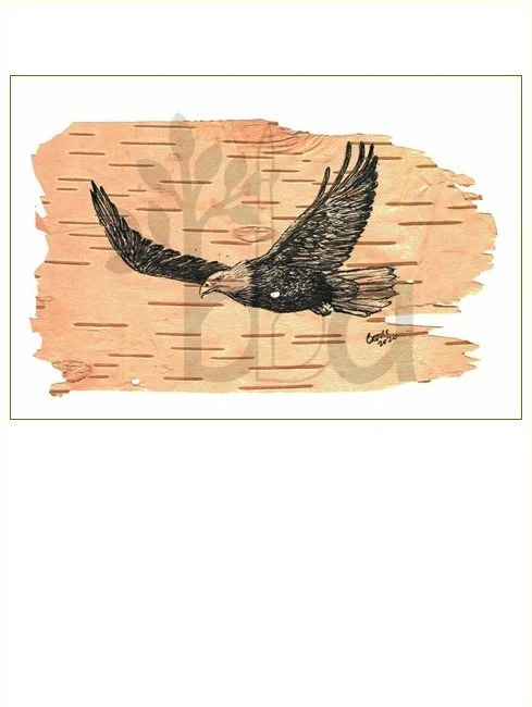 Soaring Eagle, drawn on Birch Bark