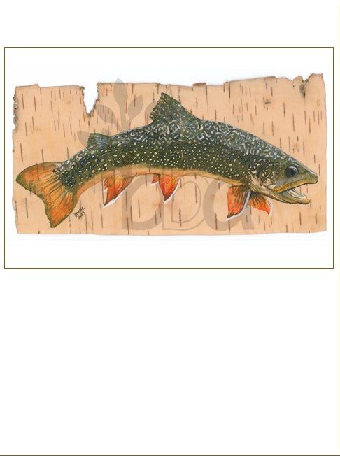 Splake, painted on Birch Bark
