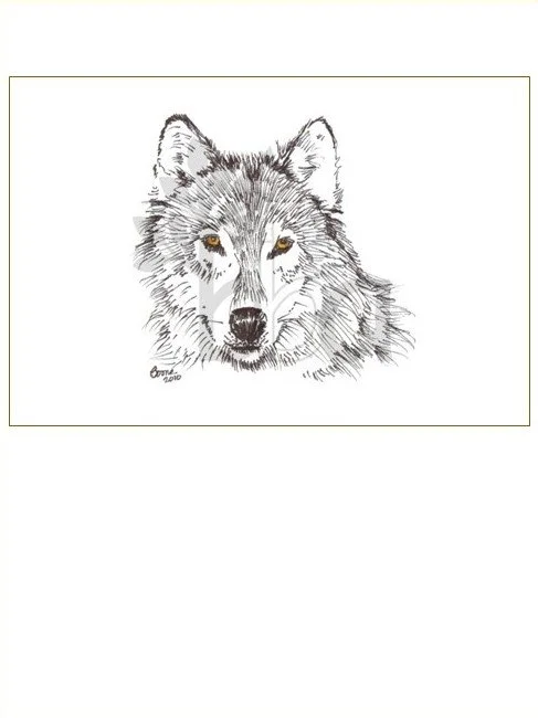 Wolf