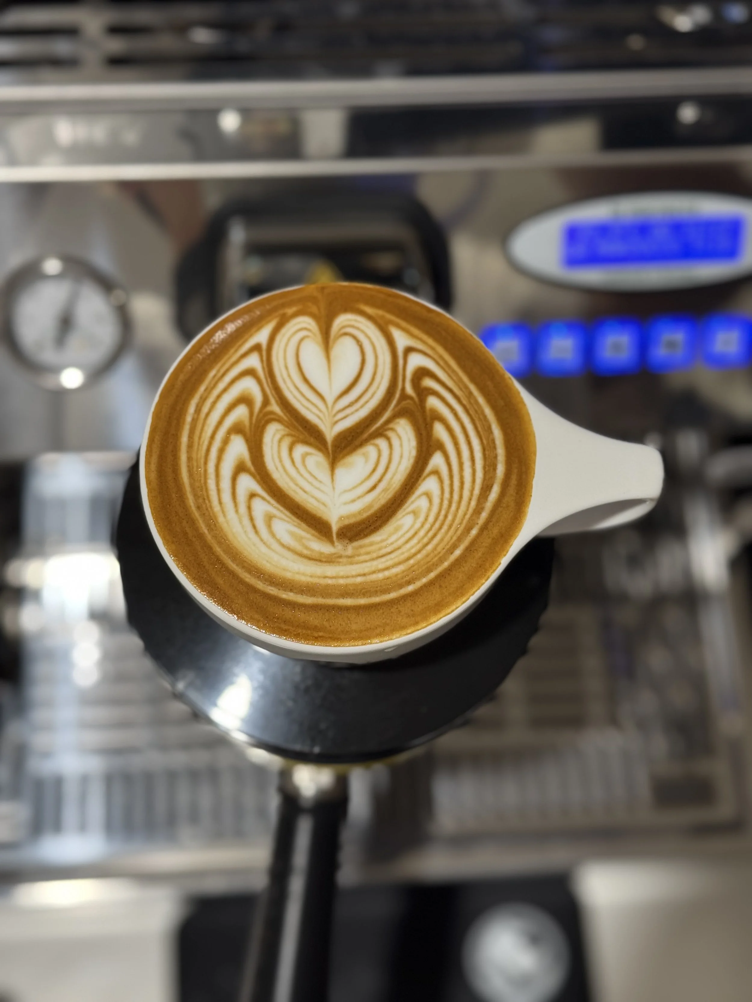 Latte Art Intermediate - 3hr