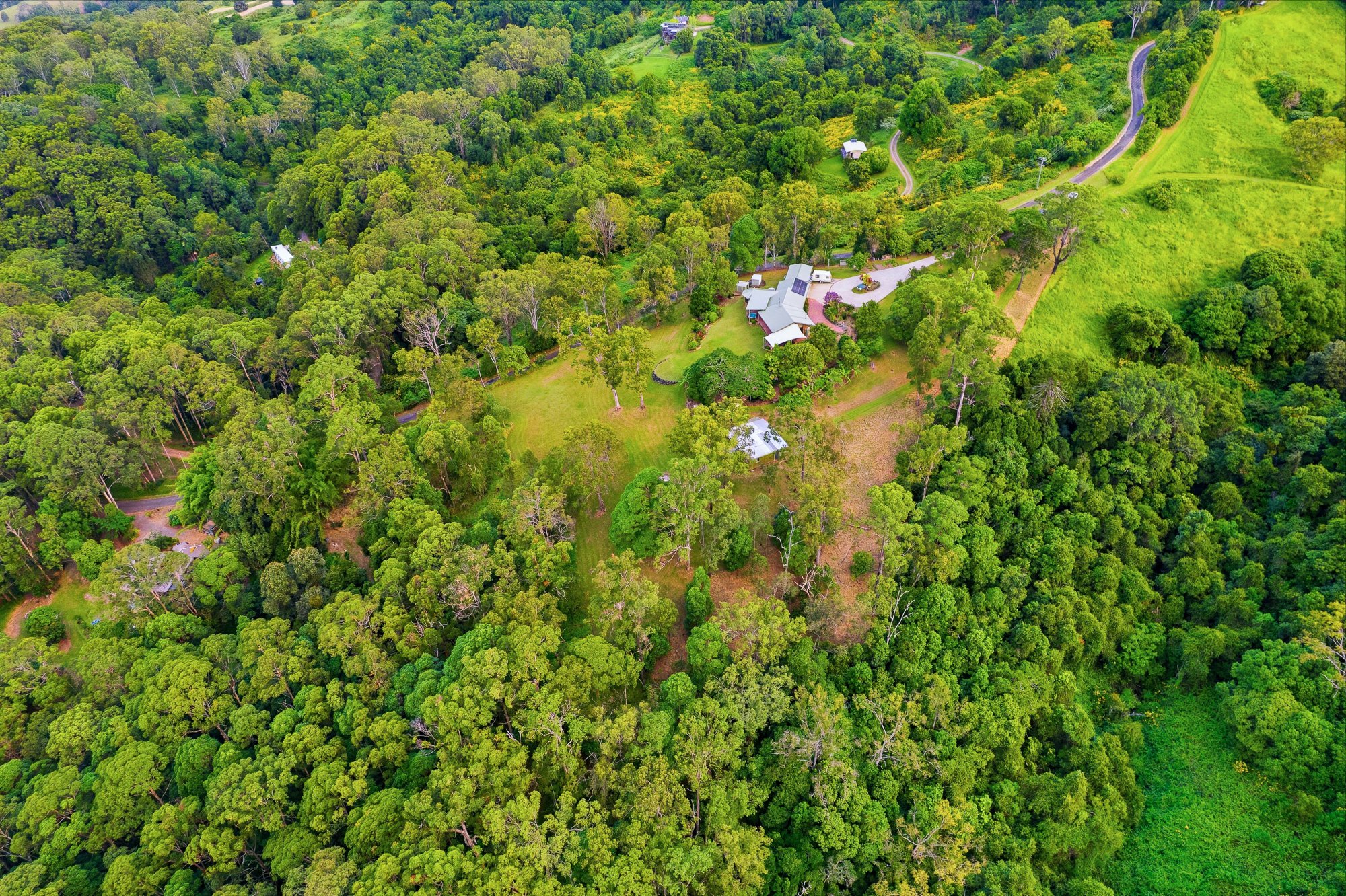 DJI_0529_with_grass.jpg