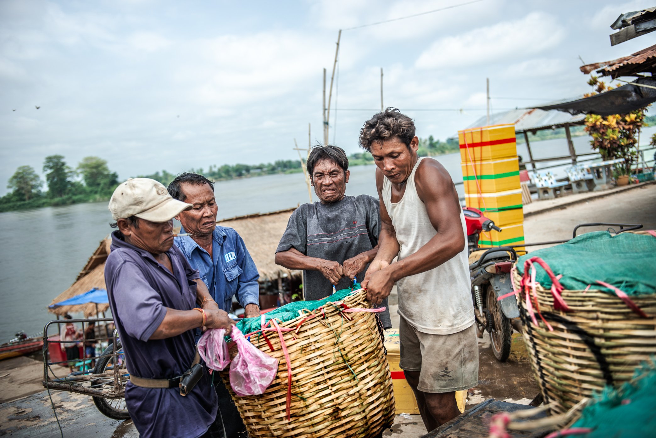 At Nakasang fish market, laborers haul woven baskets of fish from the landing into a pickup truck bound for Pakse, the commercial center of southern Laos. Each basket can weigh around 100 kilograms, heavy with fish brought in from the islands and fal