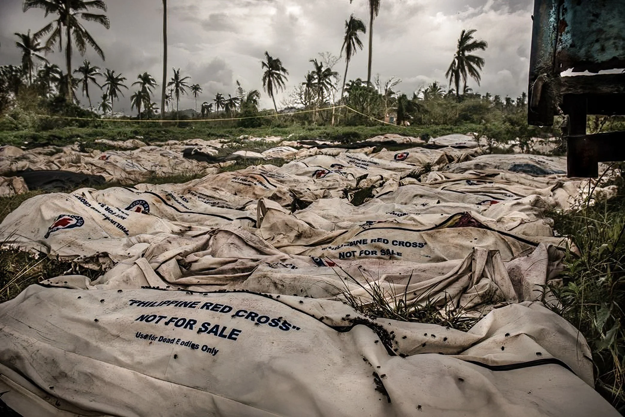 Leyte, Philippines, 2013 - Body bags lie in an open field weeks after Typhoon Haiyan tore through the central Philippines. With morgues, roads, and local authorities overwhelmed, many of the dead were held in temporary sites before burial in mass gra