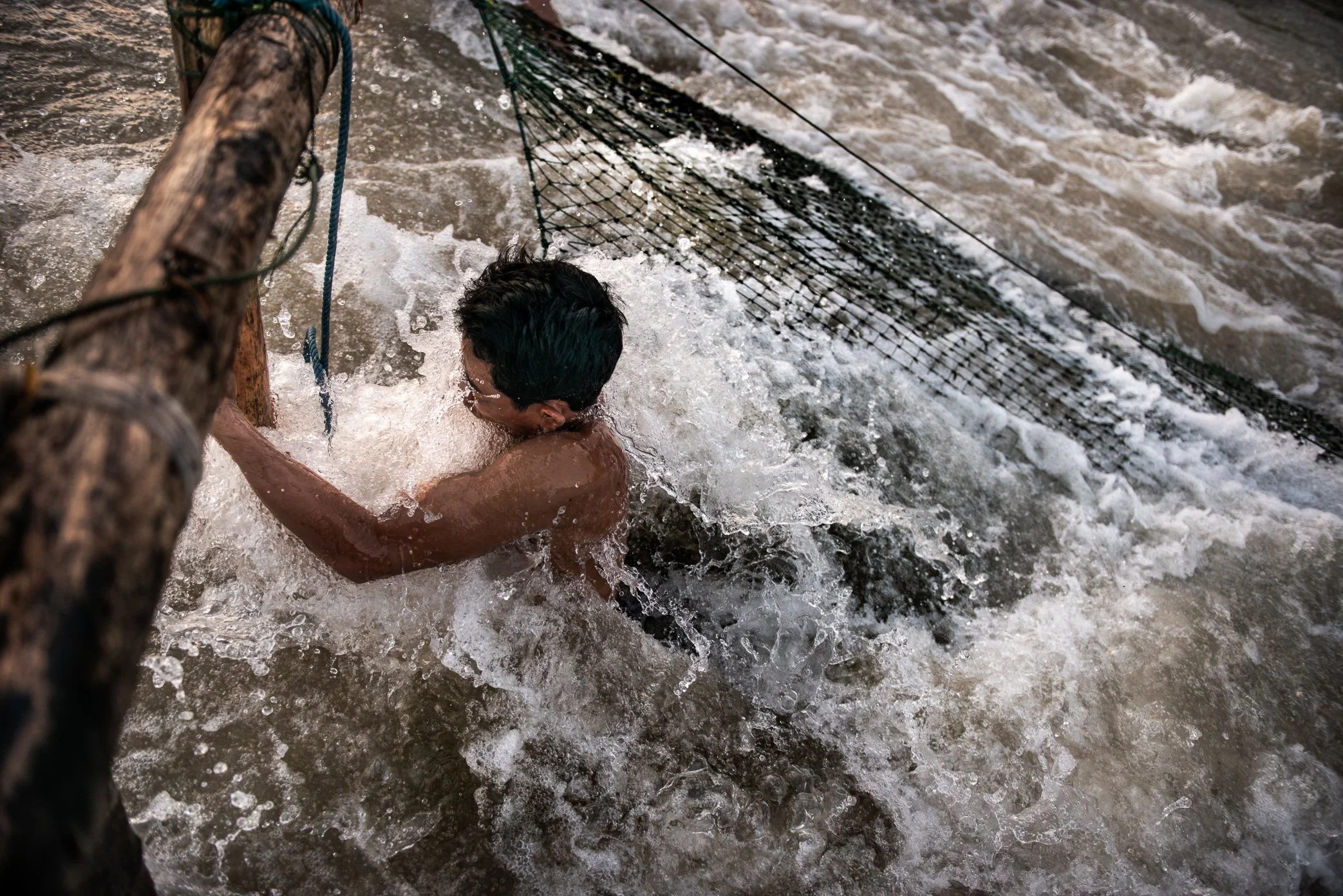 After lifting his catch at first light, a fisherman wades back into the torrent to reset the net against the force of the Mekong. Large stones must be placed by hand - and often by foot - to anchor the net beneath the surface, where the current can s