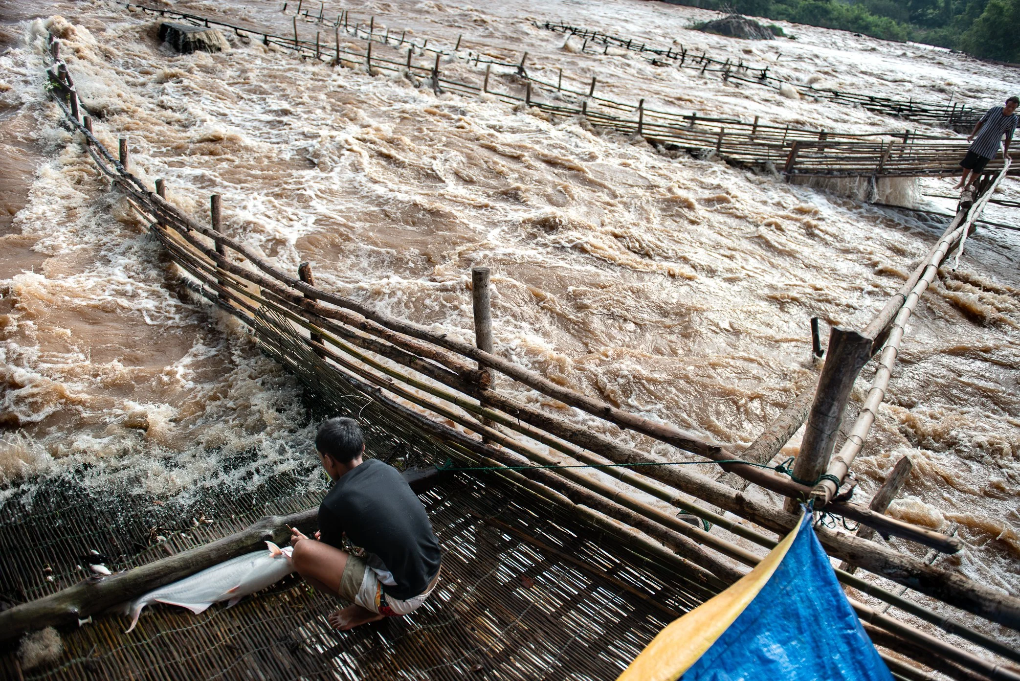 A fisherman collects fish from a Li trap as the Mekong rushes through Khone Falls. During the rainy season, rising water helps trigger fish migrations through these narrow channels, where traps are placed by families who often inherit both the fishin
