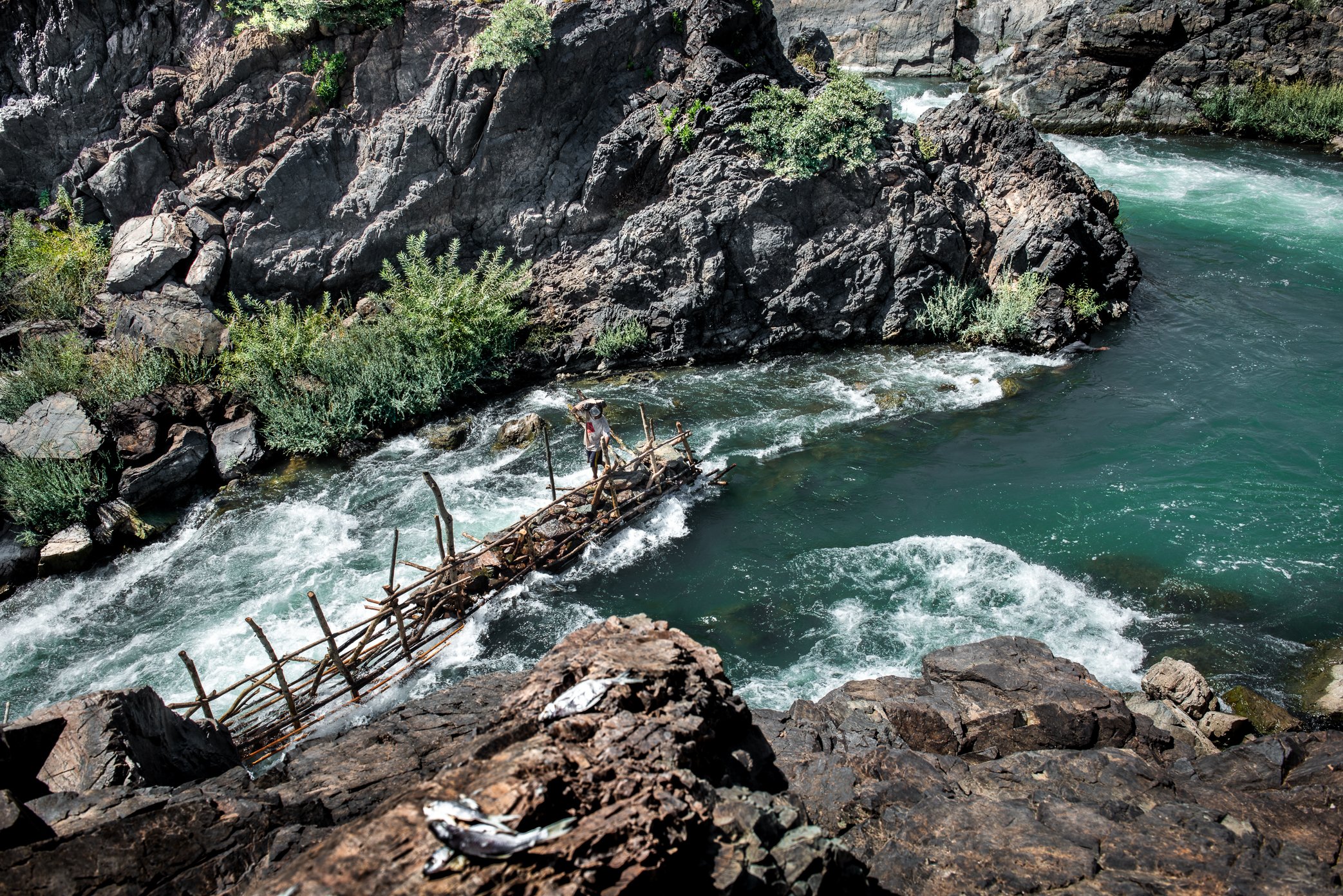 Built below steep cliffs in Si Phan Don, this Li trap stands in strong current even before the main migration begins. This year, the water rose earlier than expected, making construction more difficult and forcing fishermen to work against a river al