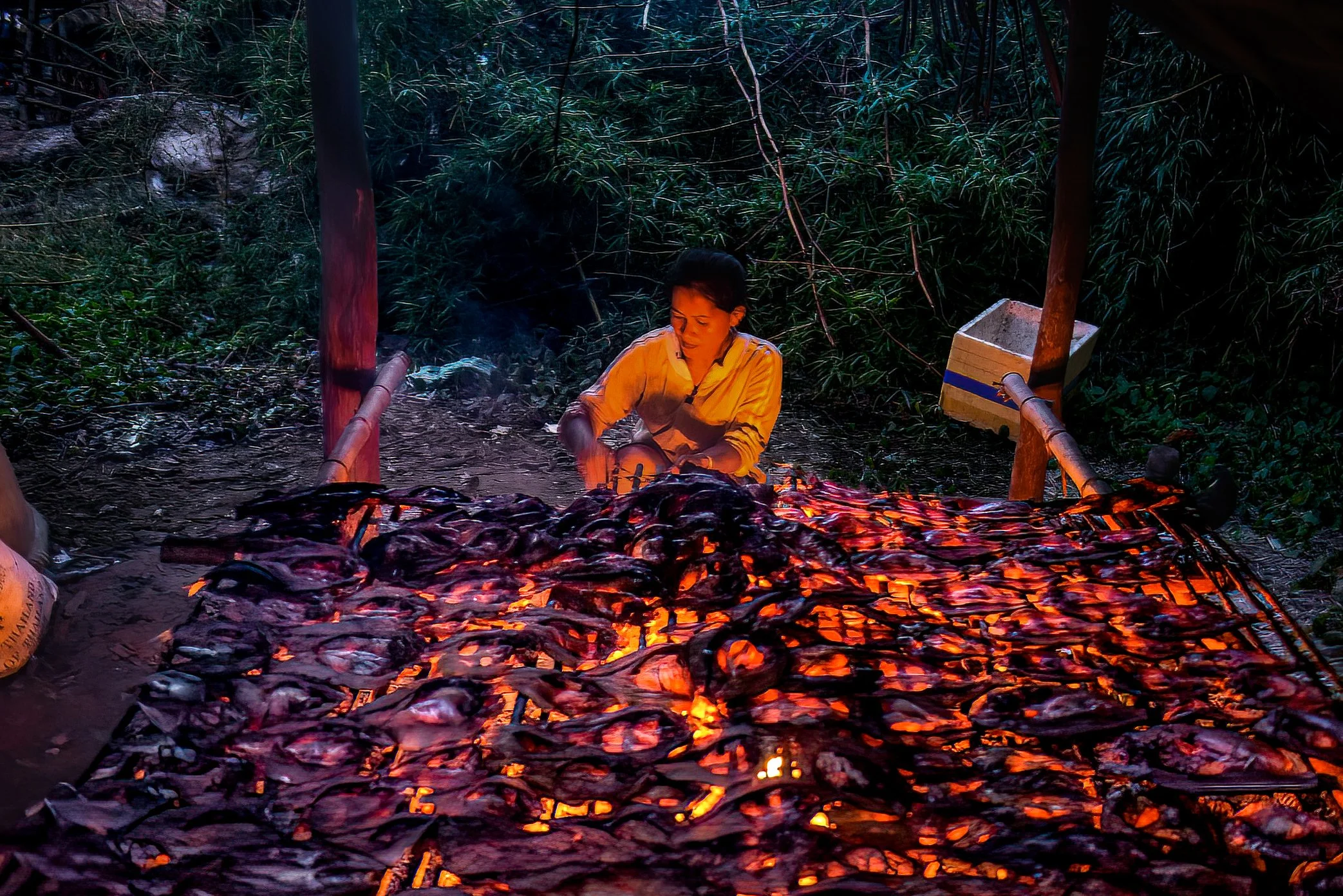 A woman grills fish beside a Li trap site in Si Phan Don, preserving part of the catch while the men continue to watch the river. During the migration season, work, food, and income overlap on the same riverbank.

Fish that cannot be sold immediately