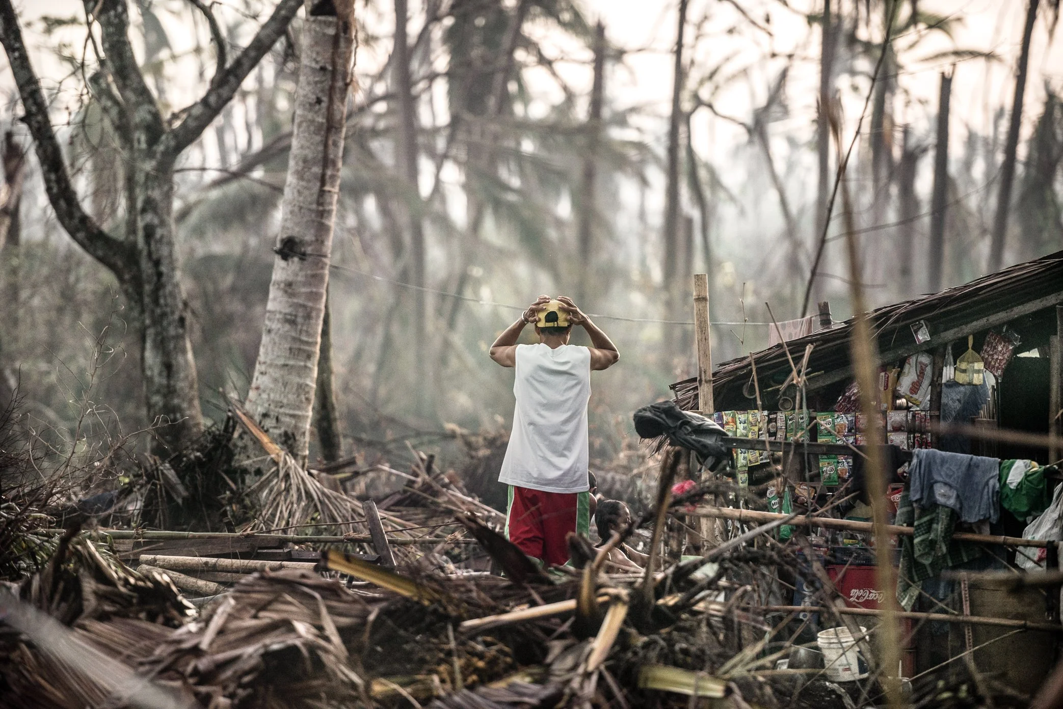 Palo, Leyte, Philippines, 2013 - A man stands among shattered coconut palms and the remains of homes after Typhoon Haiyan. In places like Palo, the scale of destruction was almost impossible to comprehend: familiar streets turned into fields of debri