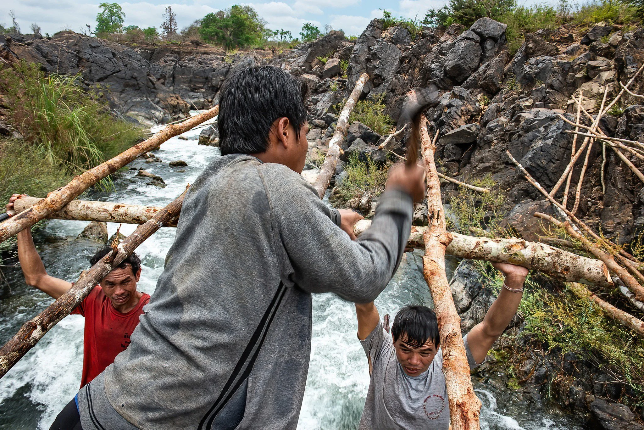 Working together above the rushing water, fishermen raise the long wooden structure that will guide fish into a li trap once the migration begins. In the Four Thousand Islands, trap-building is rarely solitary work. It depends on shared labor - lifti