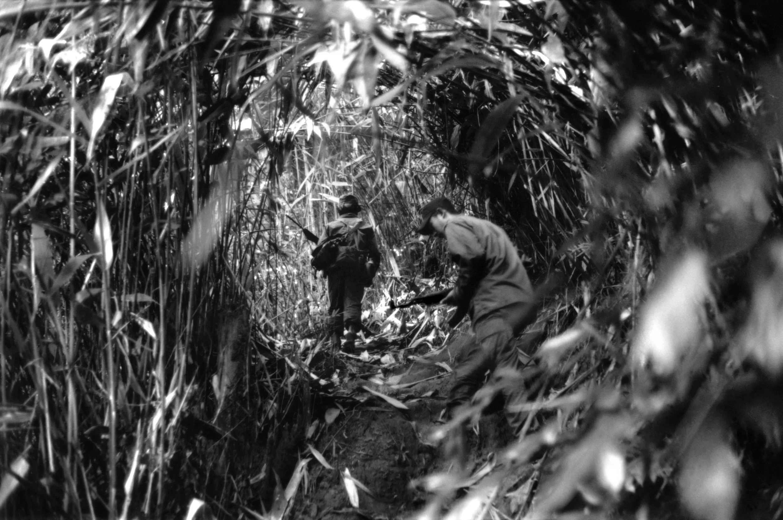 Two people walking through tall grass or reed field, one is carrying a tool, possibly a sickle, in a jungle or dense plant area.