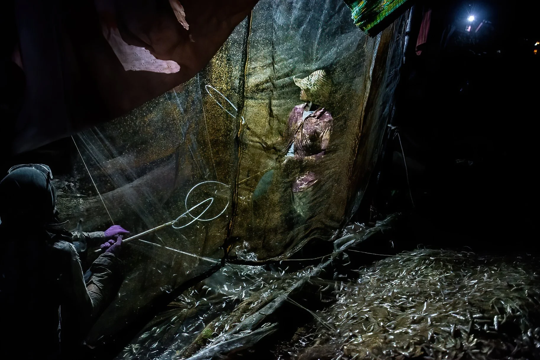 Tonle Sap: Lives Shaped by the Lake - Cambodia