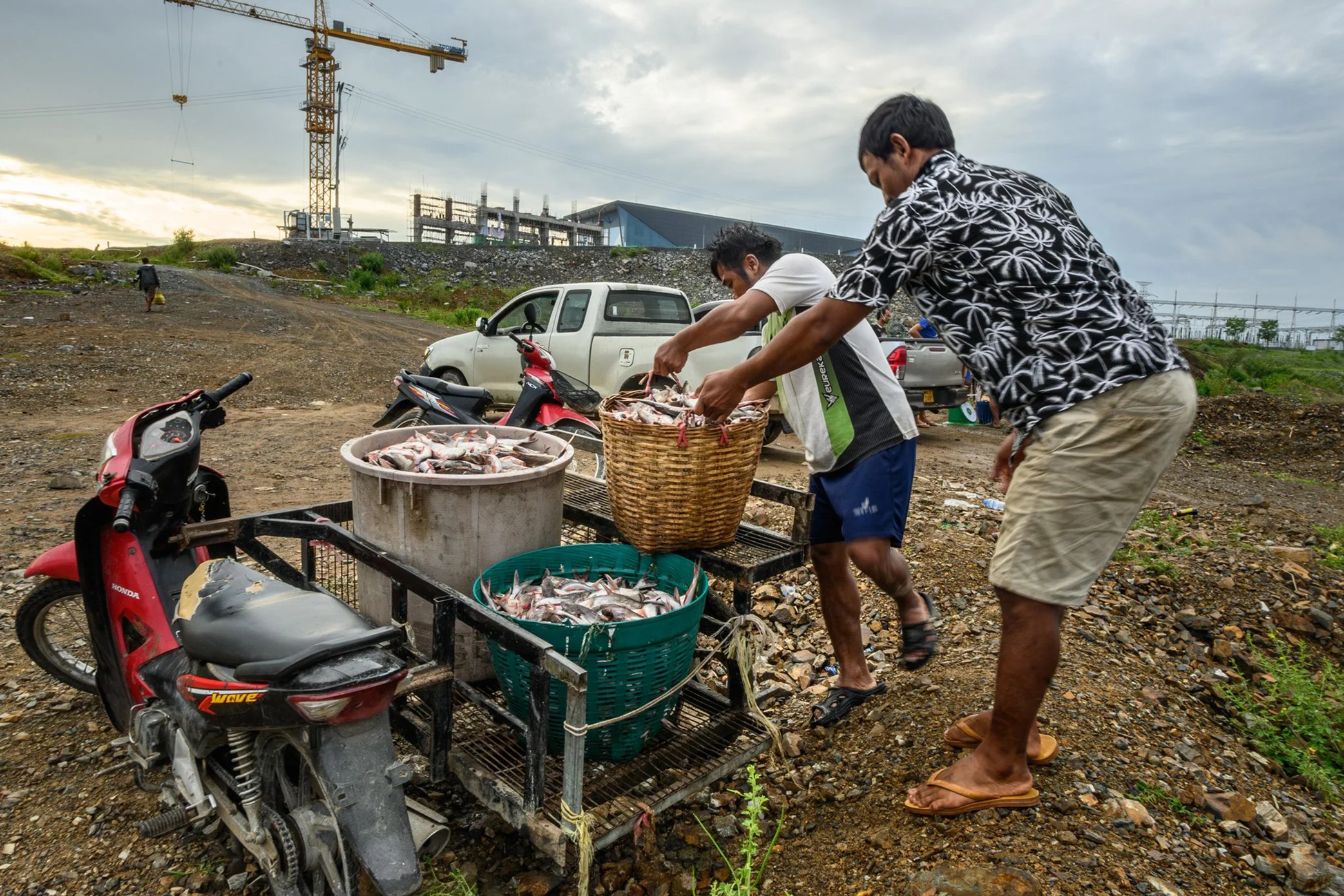 Fish buyers collect the day’s catch from fishermen in Si Phan Don, loading baskets of Mekong fish for resale beyond the river communities. Once the fish leave the traps, they enter another chain of labor - sorted, weighed, transported, and sold throu