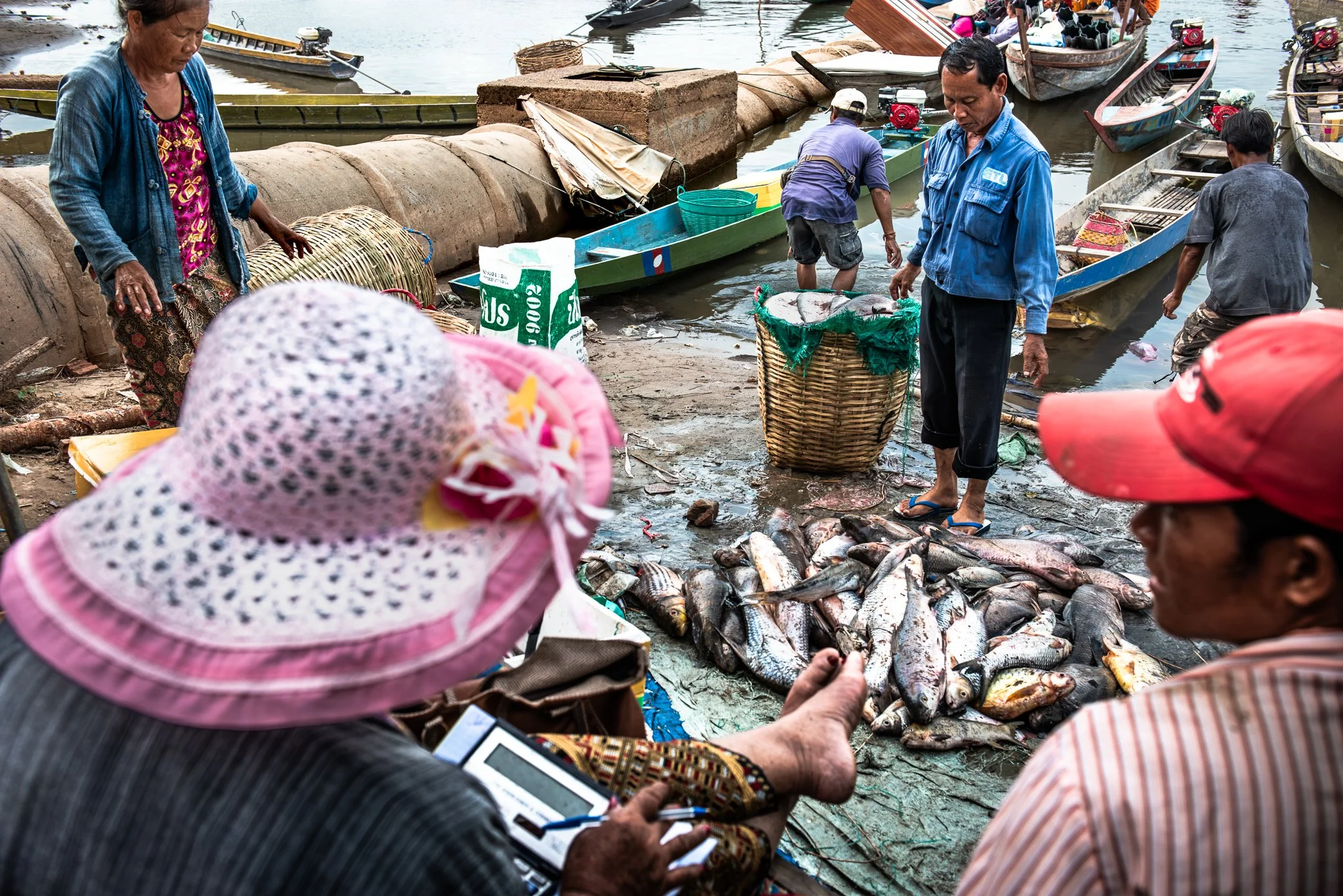 At Nakasang, the first mainland trading point for much of the fish coming out of Si Phan Don, the river’s catch begins its movement into the market economy. Fish brought by boat from the islands are sorted, weighed, and negotiated on the muddy landin