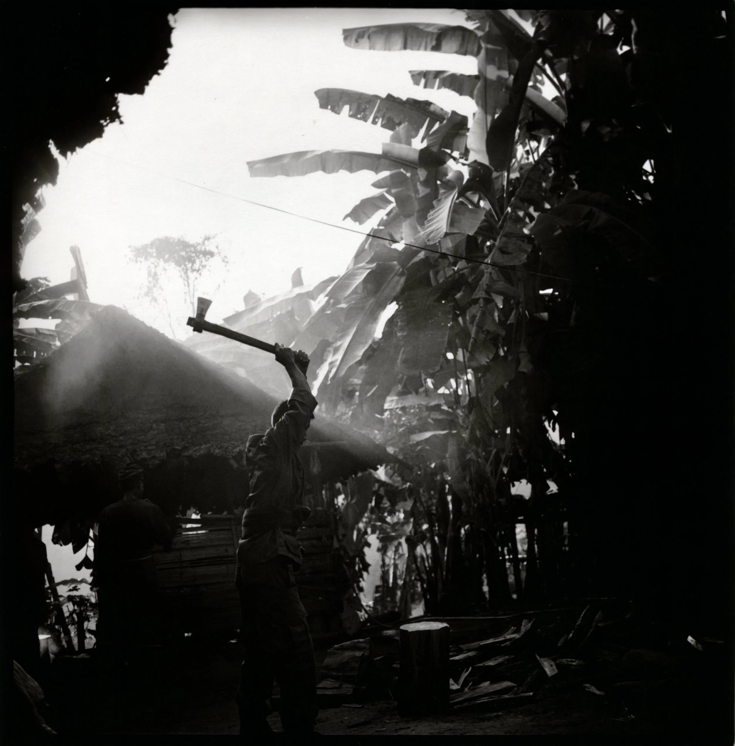 Two men working in a banana plantation, one watering the plants with a spray hose, surrounded by banana trees.