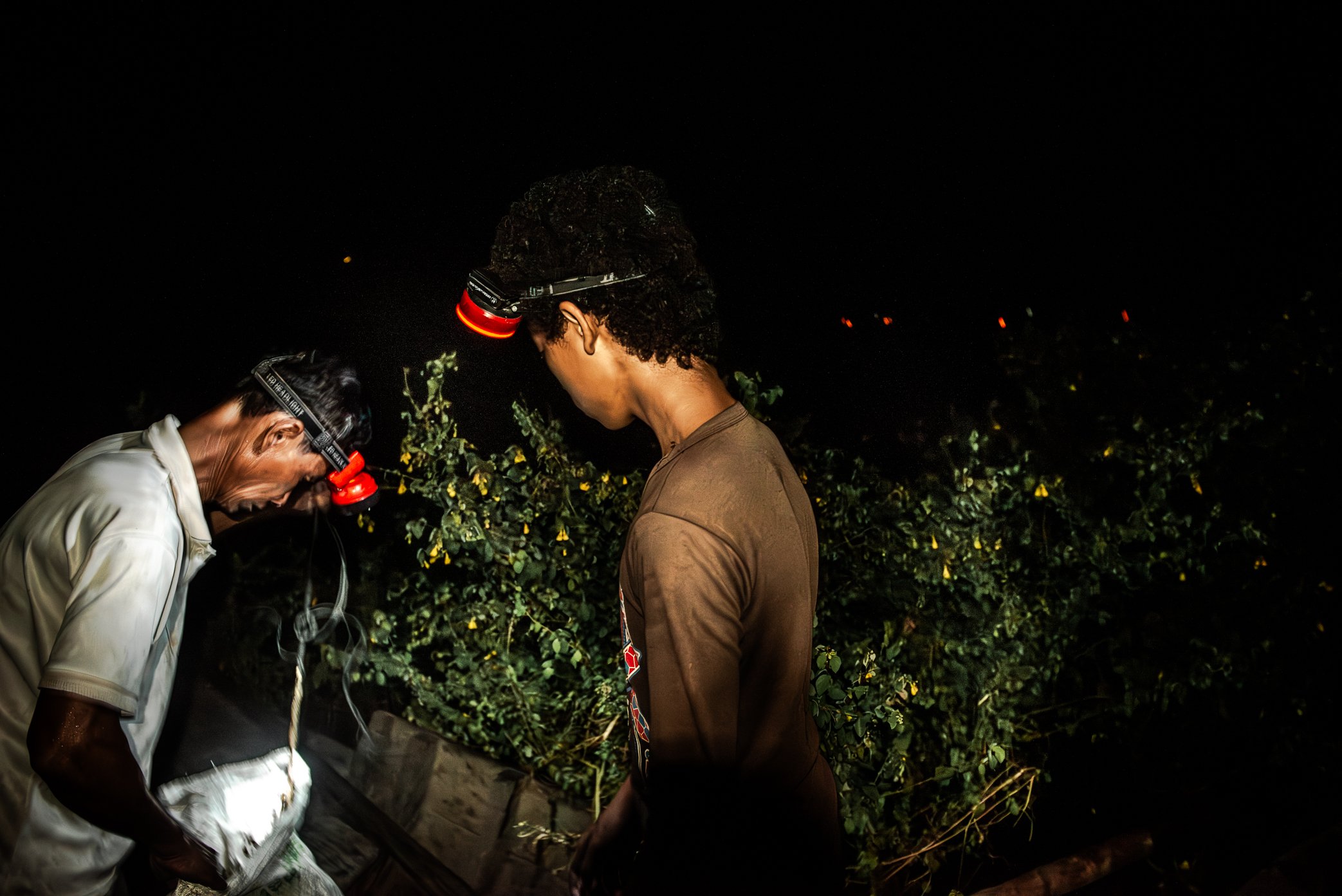 Tonle Sap, Cambodia - Illegal by law and risky to keep, the fishing gear is hidden in bushes on islands across Tonle Sap rather than brought back home. In the darkness, concealment becomes part of the routine - another sign of how survival on the lak