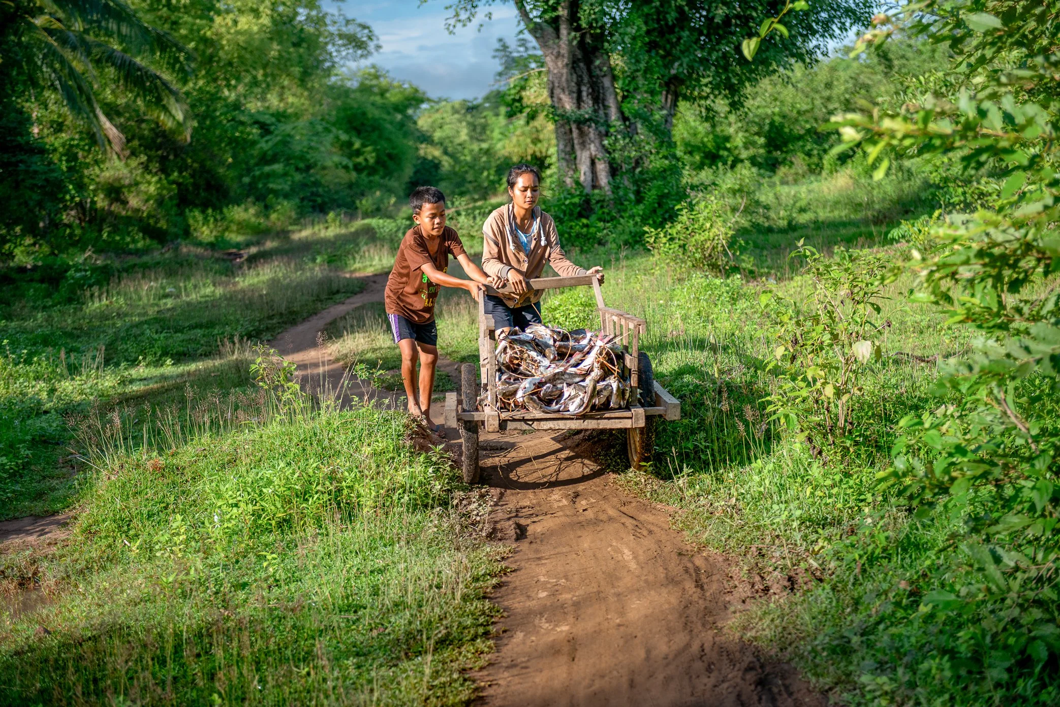A family pushes a wooden cart loaded with fish from a li trap in Si Phan Don. Before the catch enters the market, the owner sets aside a share for the household - food for children, elders, and daily meals. Only what remains is sold.

In the Four Tho