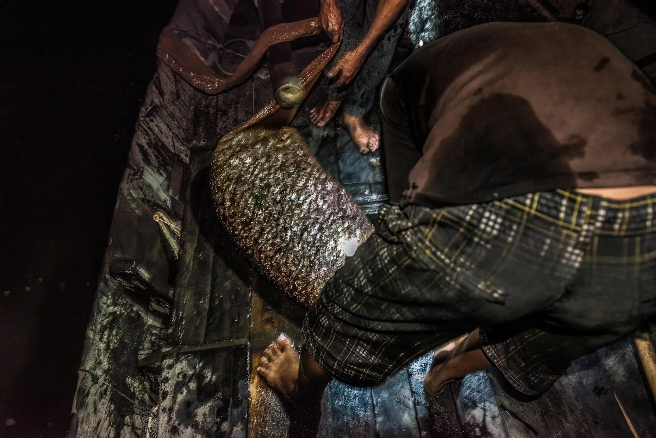 Tonle Sap, Cambodia - A boat owner gathers fish from one round of night fishing on the Tonle Sap. Through the darkness, the catch is collected again and again, each haul stored beneath the wooden deck before the boat returns to the water. For fishing