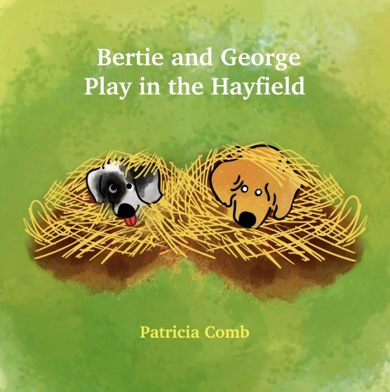 Bertie and George Play in the Hayfield