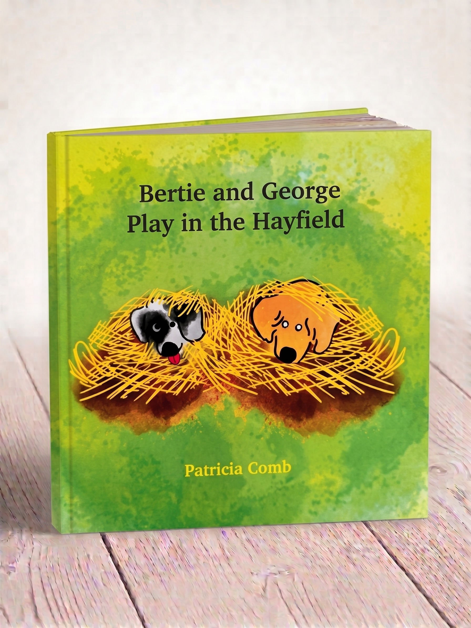 Bertie and George Play in the Hayfield