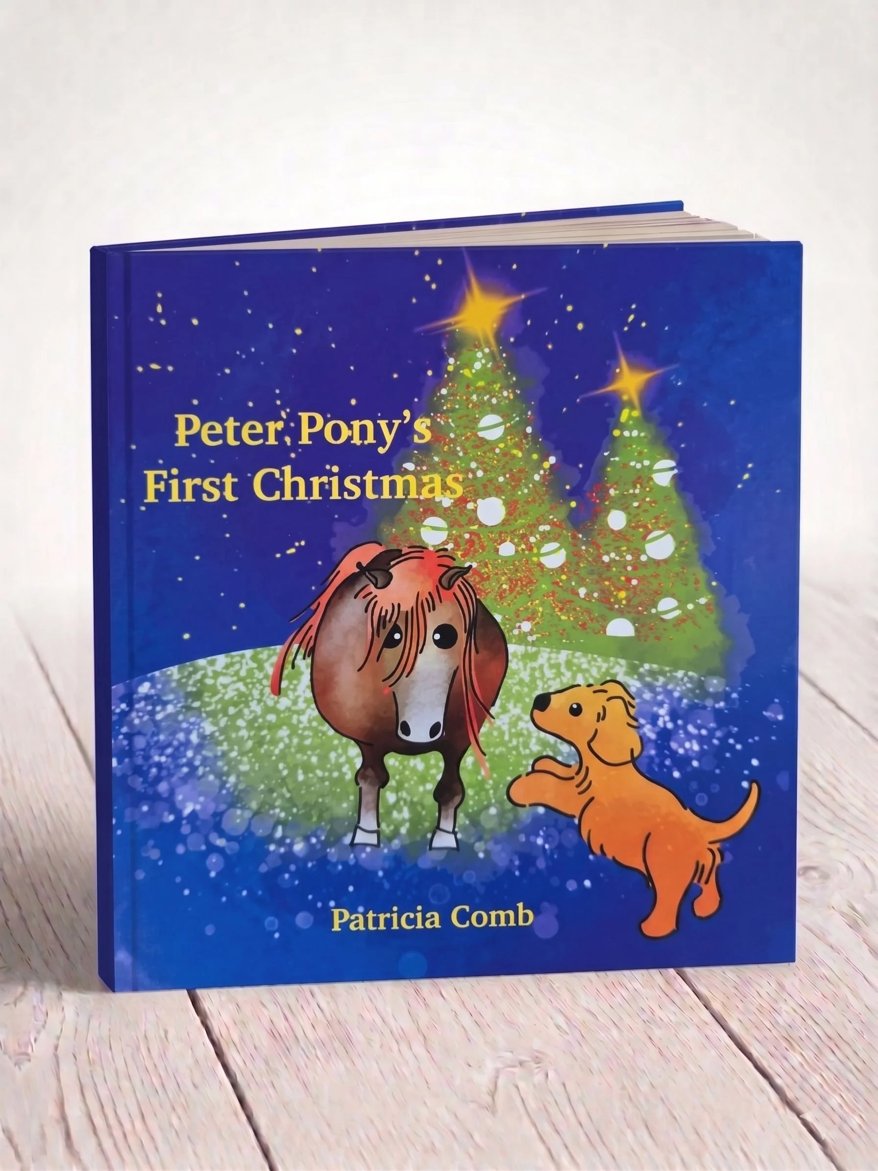 Peter Pony's First Christmas