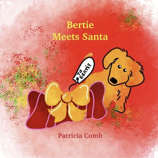 Bertie Meets Santa