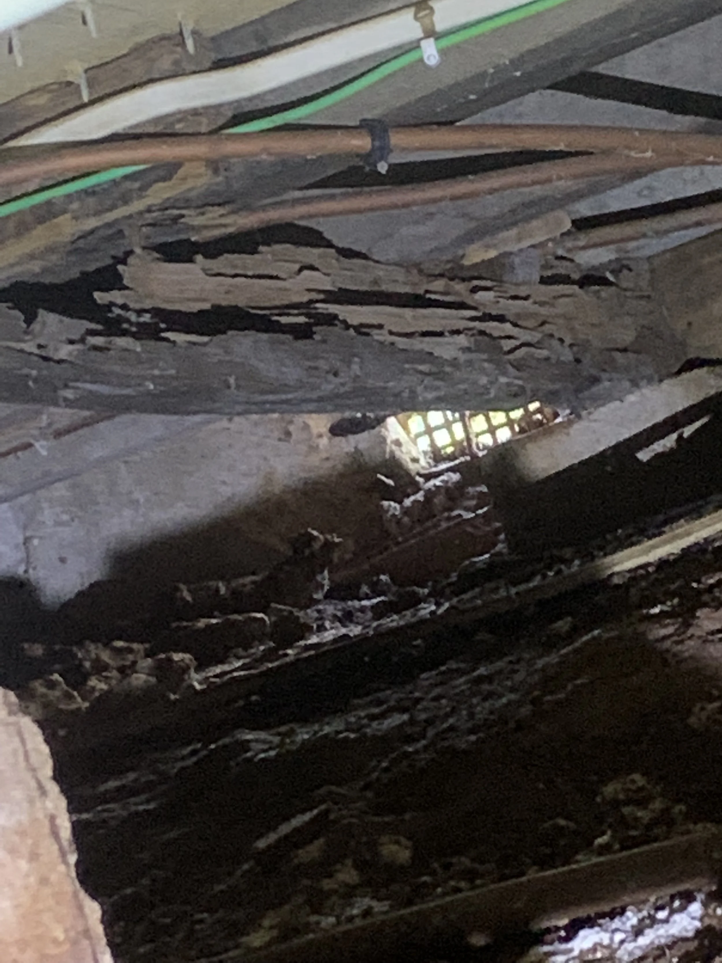 The Cost of Termite Damage