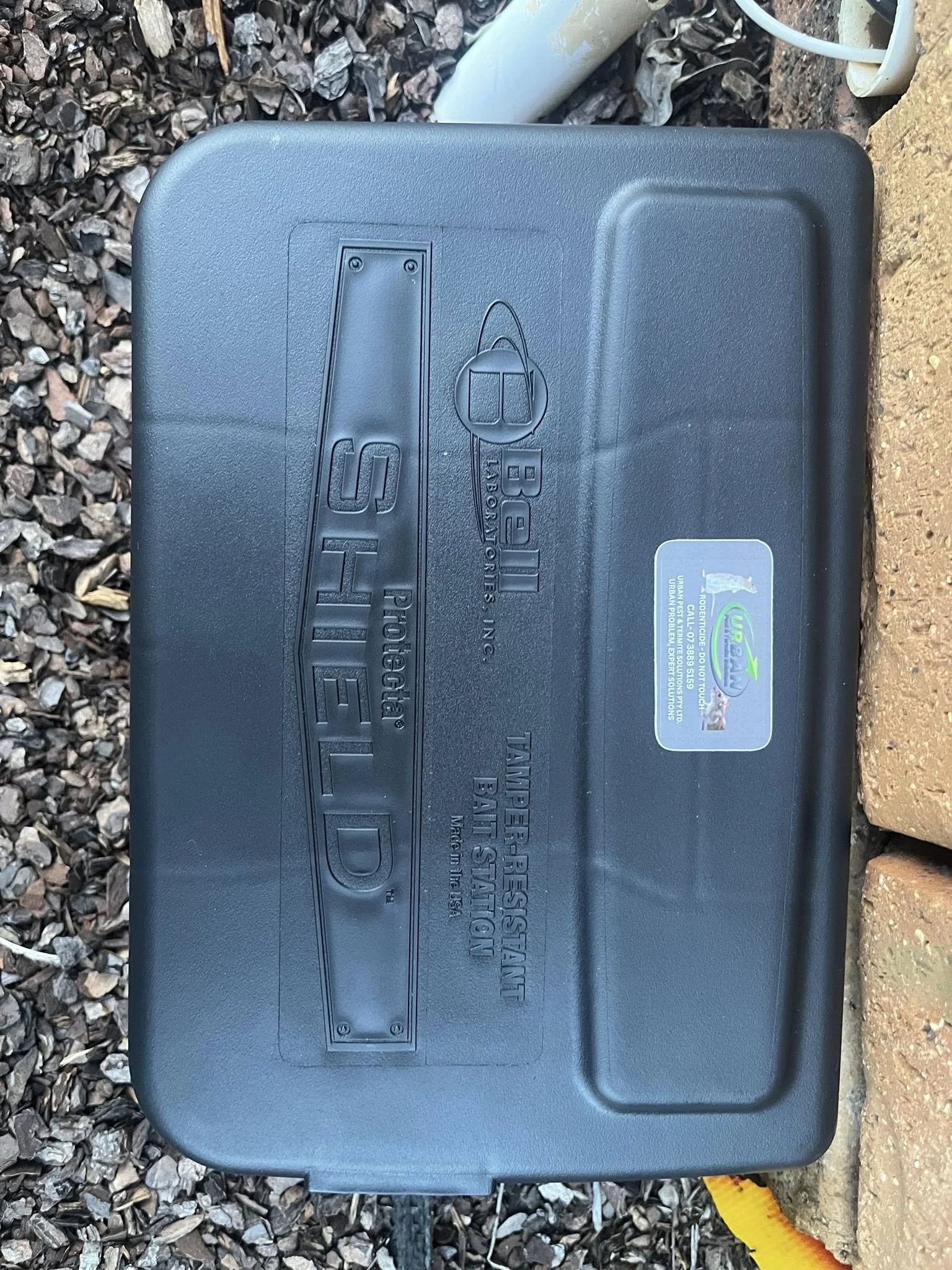 Do I Need Pest Control in Winter?