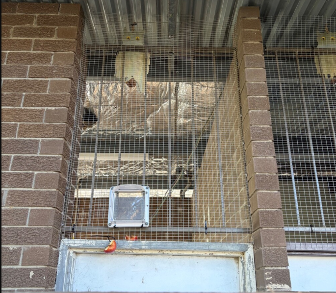 Possum Proofing at All Stars Baseball Club in Hendra, QLD 4011