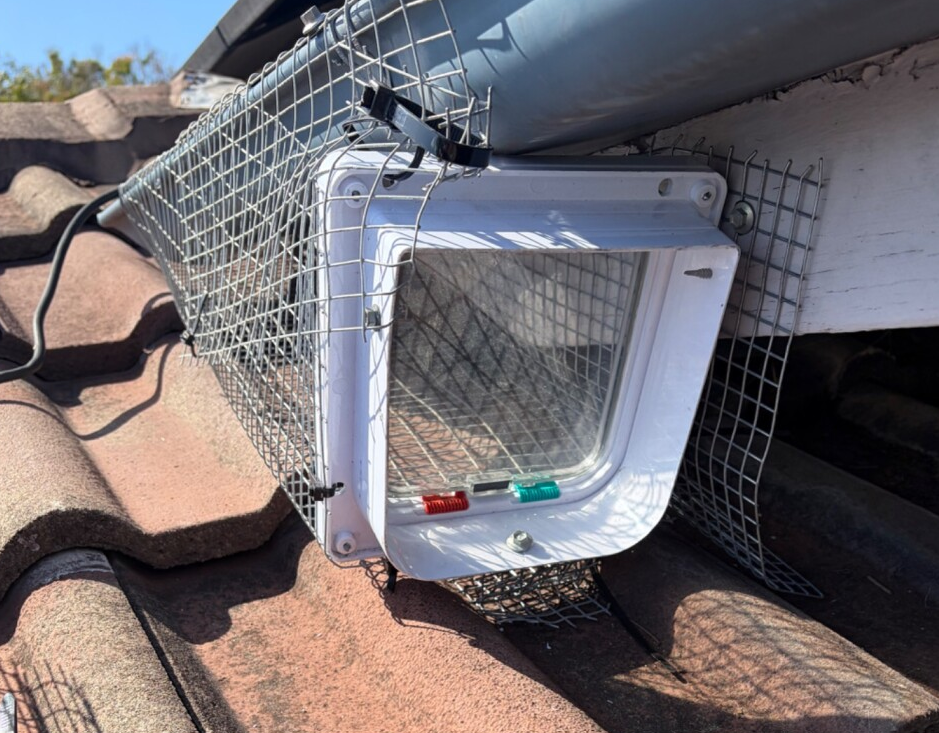 Possum Proofing in Kippa-Ring QLD 4021: Roof Entry Protection and One-Way Door Installation