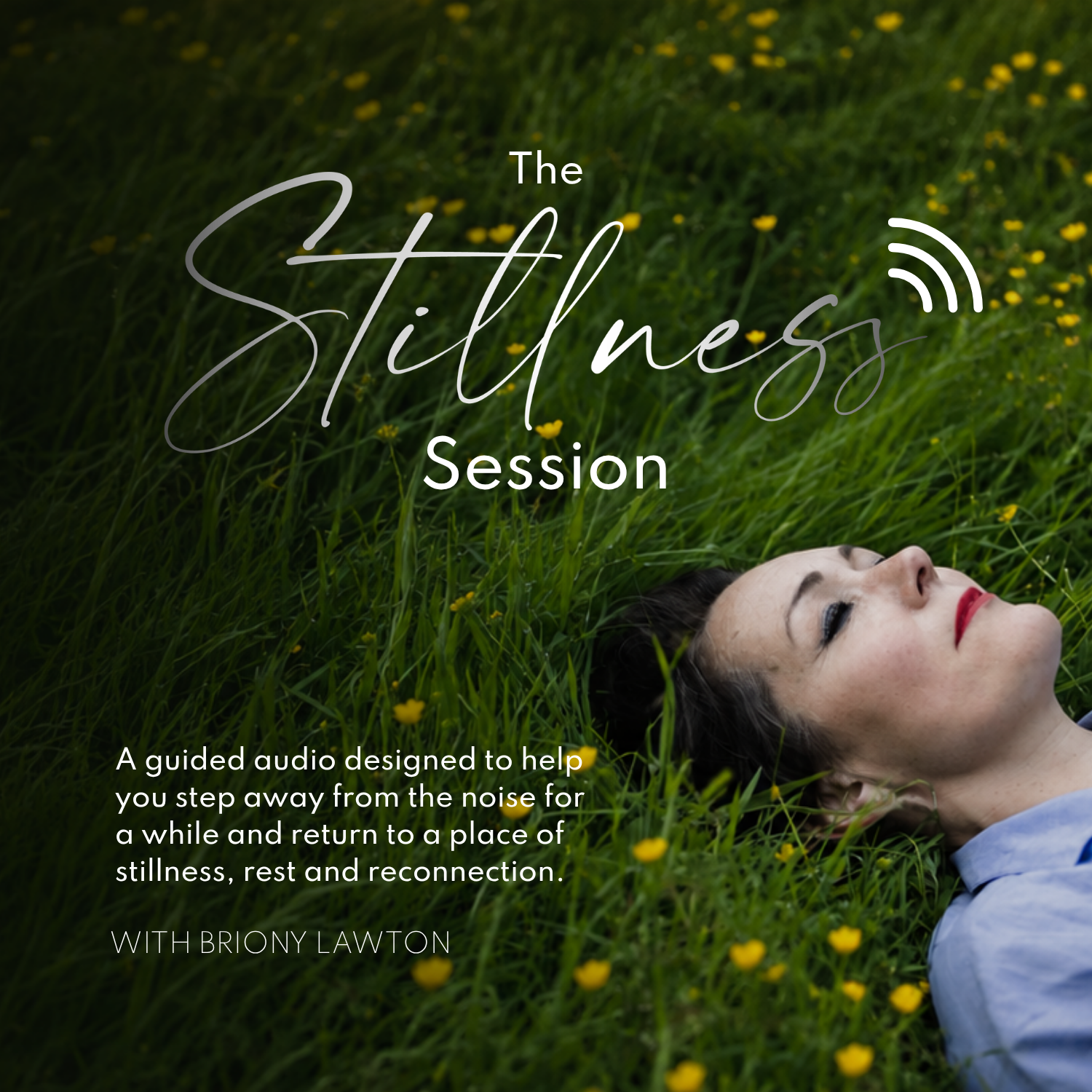 The Stillness Session
