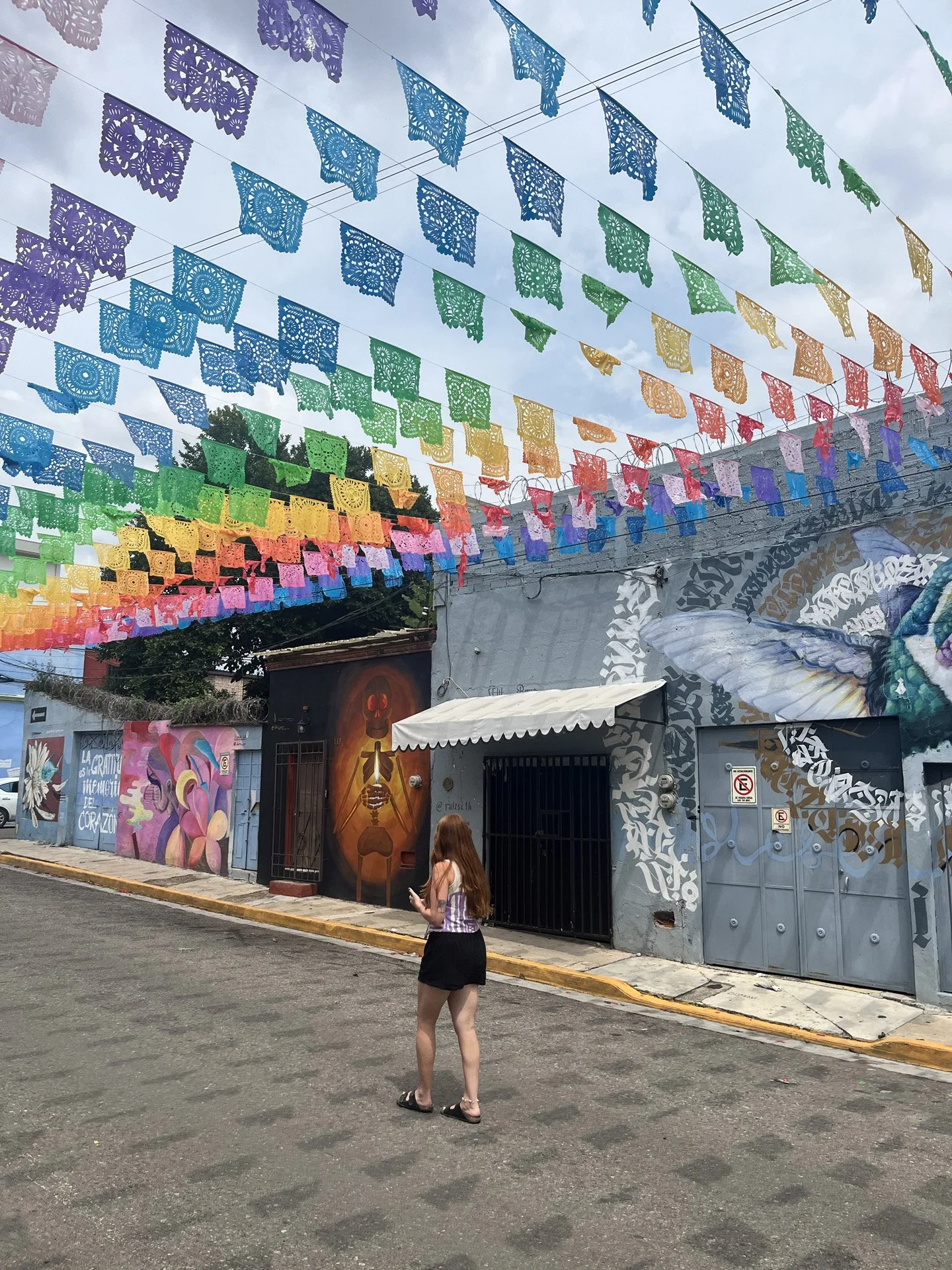 Street scene with colorful papel picado banners hanging overhead, graffiti murals on walls, and a woman standing on the sidewalk with her back to the camera.