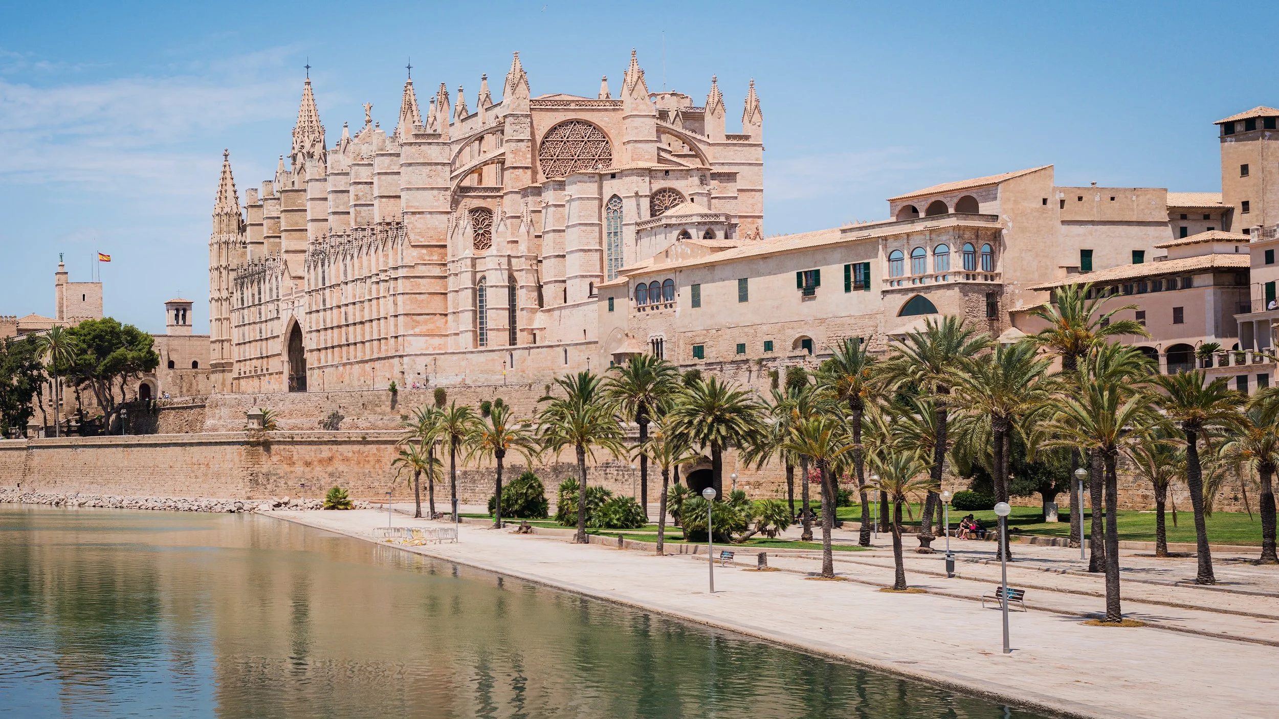 Cathedral of Santa Maria of Palma in Mallorca, Spain, viewed from the waterfront with palm trees and a promenade in the foreground.