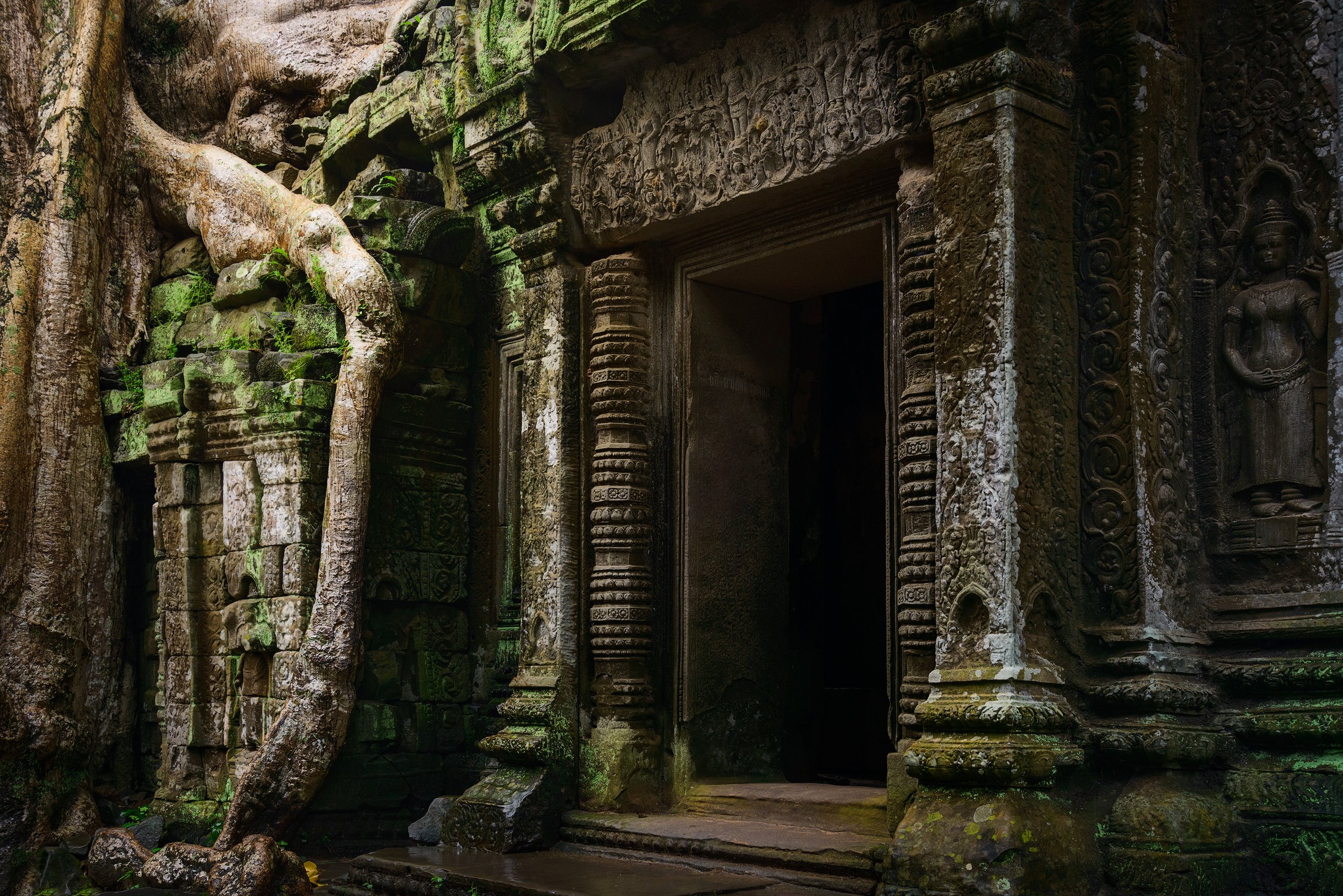 Ancient stone temple entrance with intricate carvings, surrounded by moss-covered roots and jungle foliage.