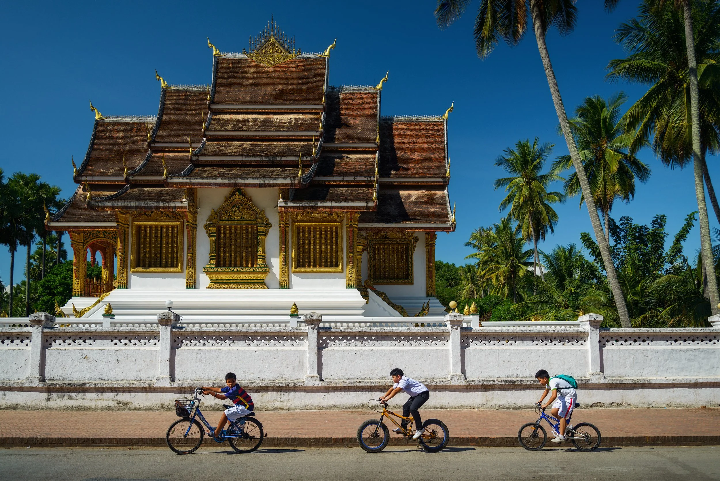 Three boys riding bikes in front of a traditional Asian temple with ornate architecture and surrounded by palm trees on a sunny day. Luang Prabang, Laos.l