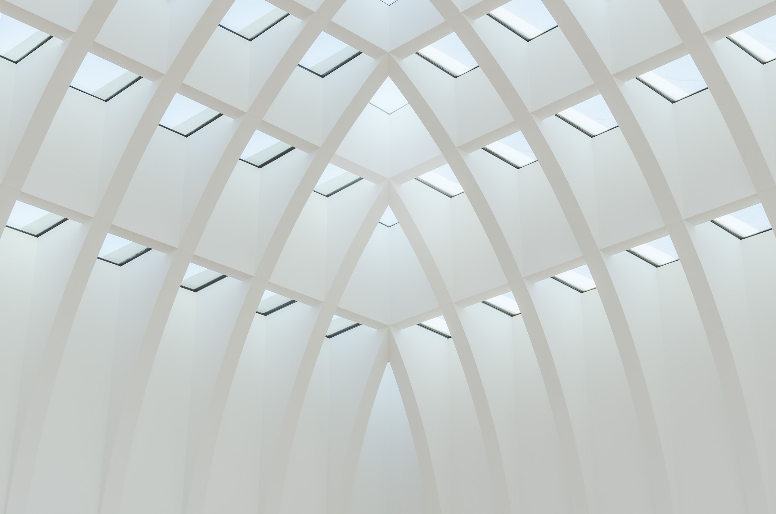 Interior view of a modern building with a white arched ceiling and skylights arranged in a geometric pattern.