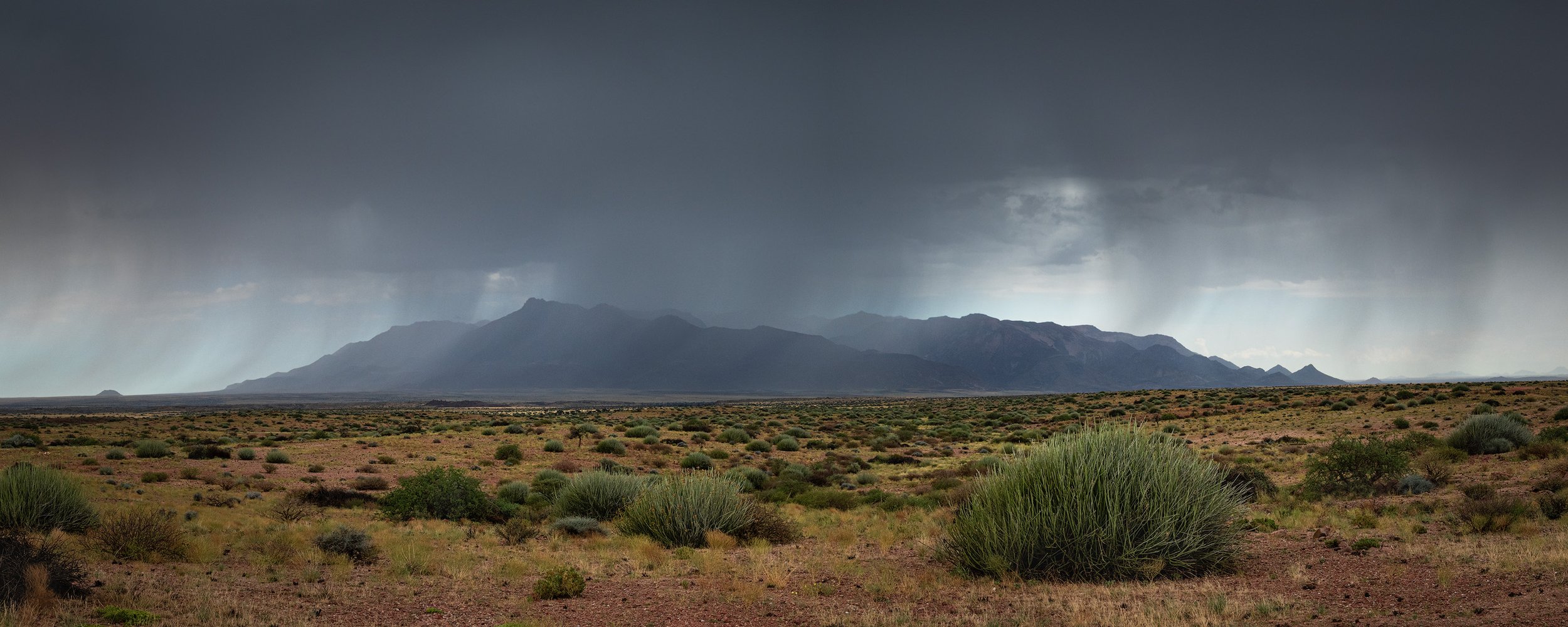 A vast desert landscape with sparse vegetation and mountains in the distance under a dark, cloudy sky.