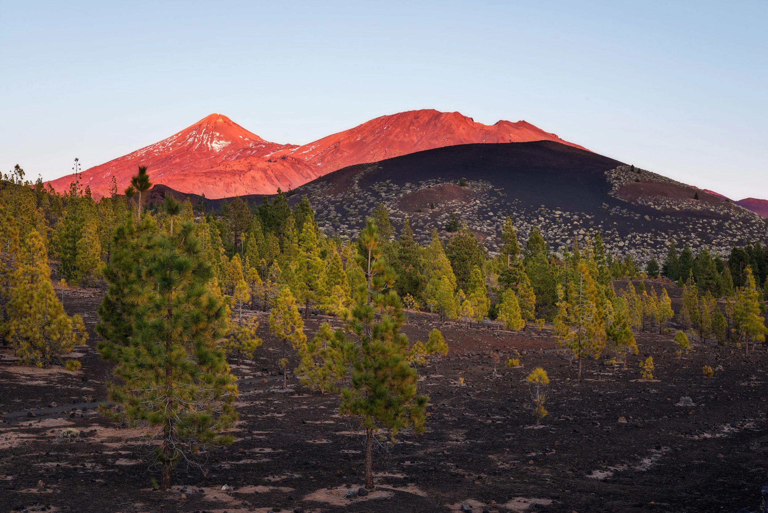 View of volcanic mountains with red and black slopes, and a forest of green pine trees in the foreground.