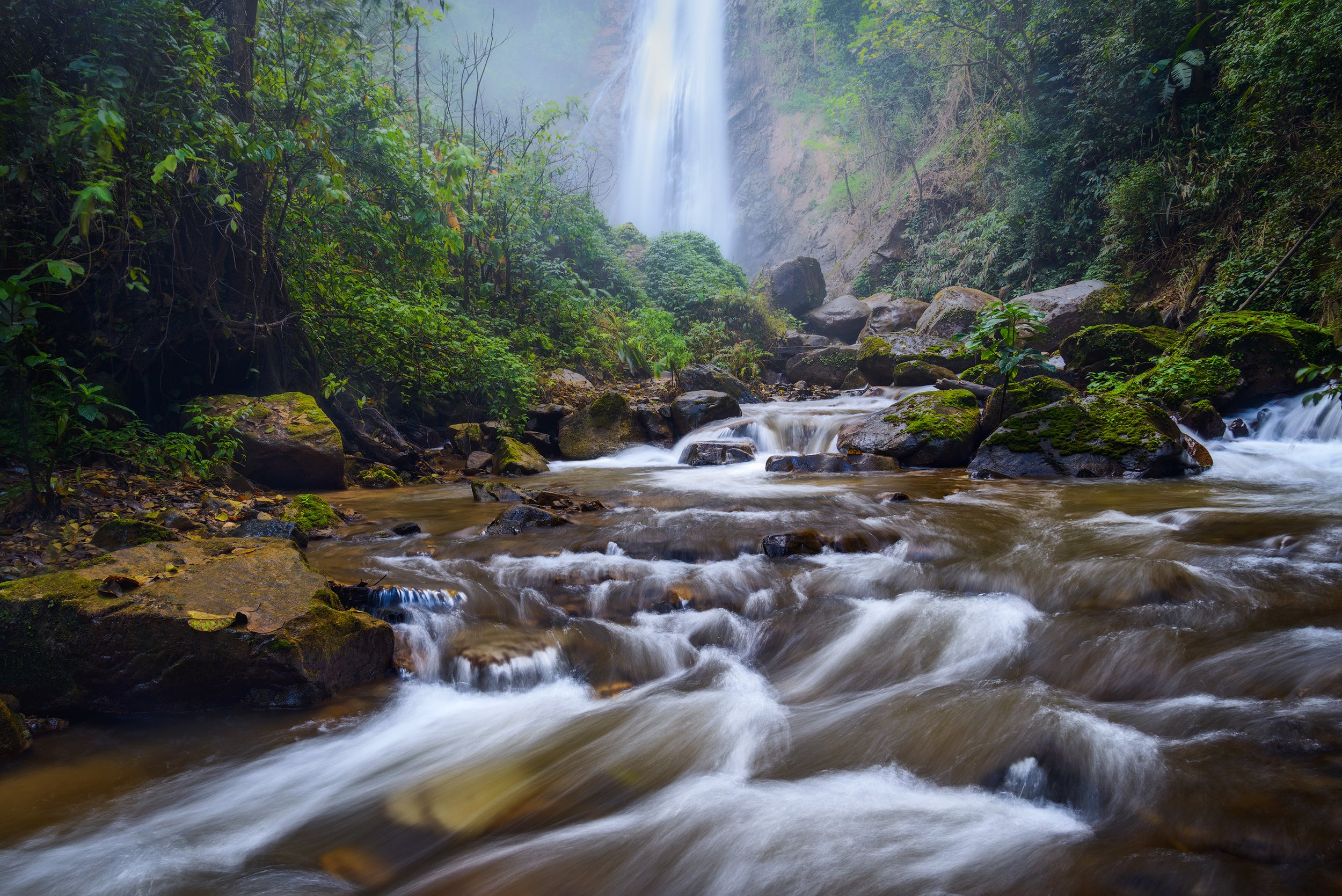 A flowing river in a lush green forest with a waterfall in the background.