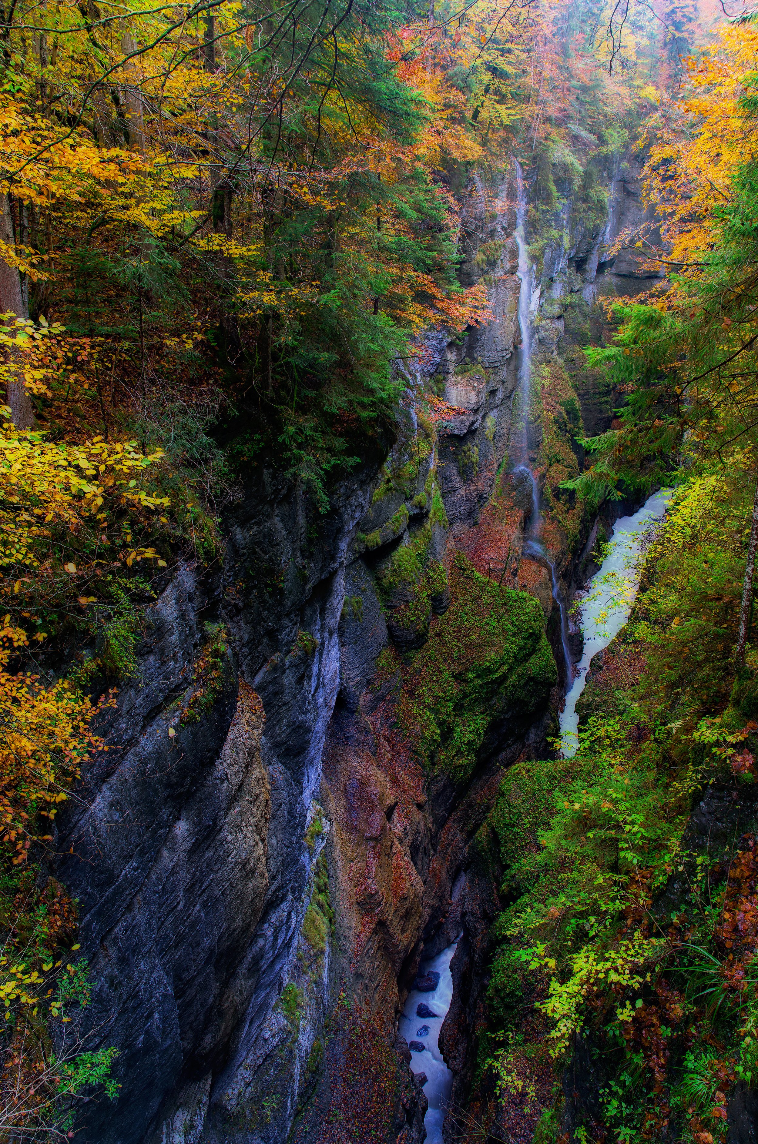 A narrow canyon with lush green and autumn-colored trees surrounding steep rocky walls and a small waterfall flowing down the rocks. Partnachklamm, Bayern, Deutschland