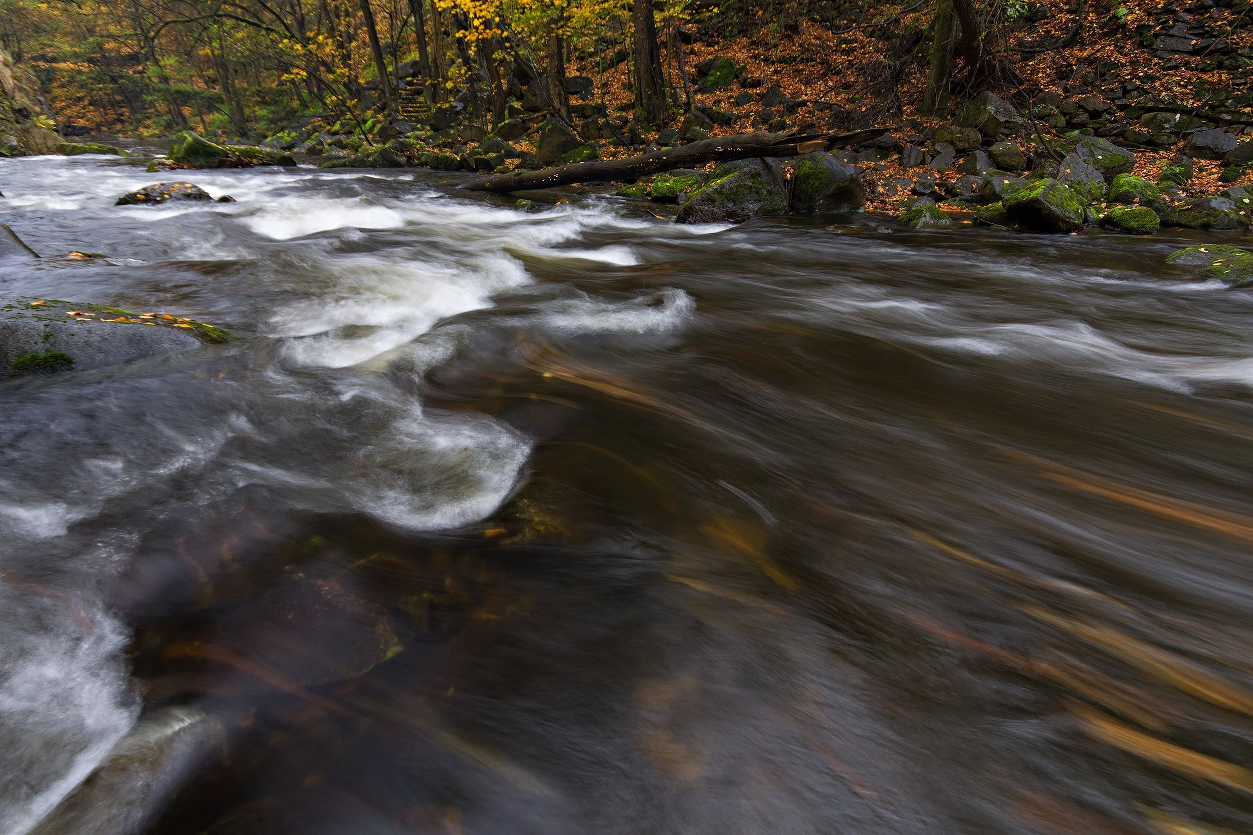 A flowing river in a forest with rocks and trees, during autumn.